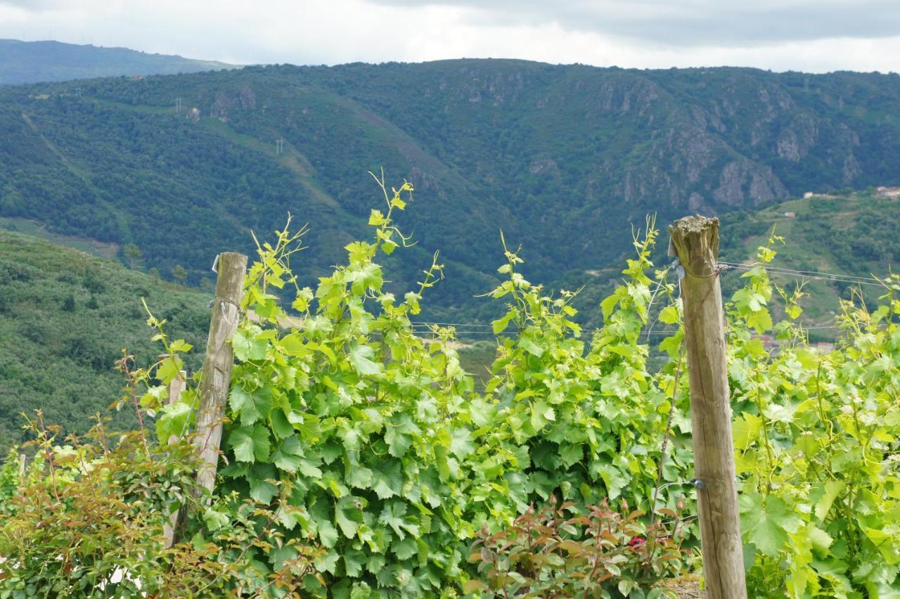 A Forxa Casa Ferrador Ribeira Sacra Apartment Sober Luaran gambar